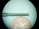 tiny broach